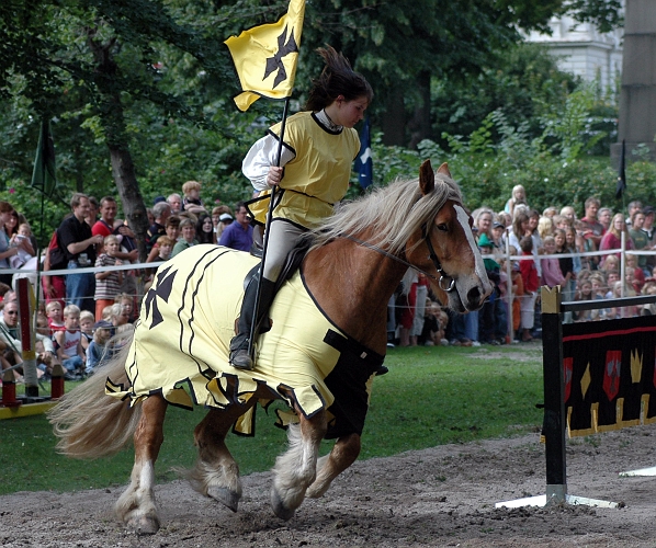 2005_0813 (24).JPG - Presentation av riddarna